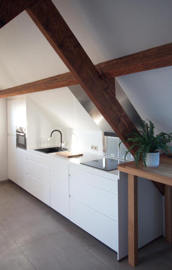 De Heide, Cozy Apartment With Separate Entrance Kampenhout Zewnętrze zdjęcie