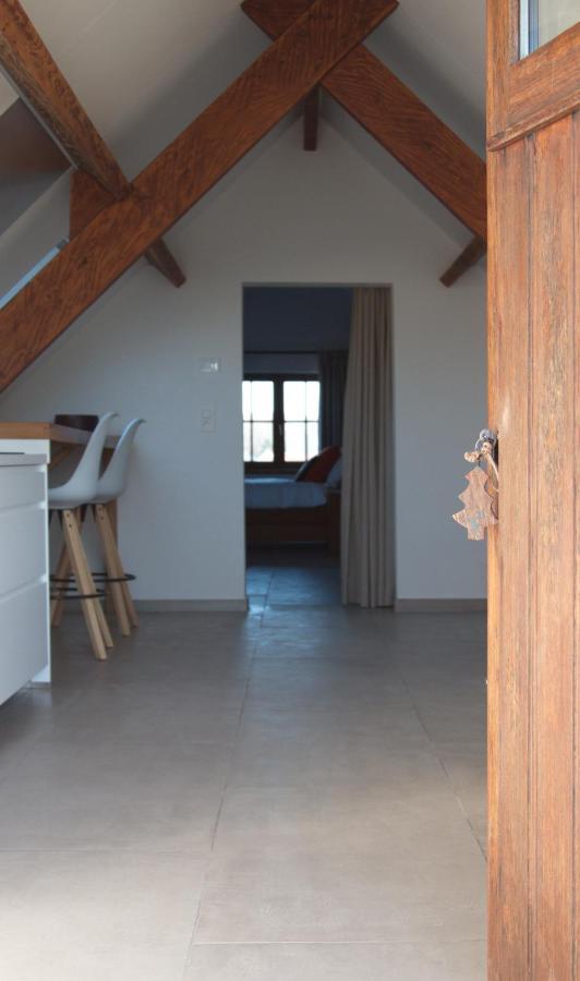 De Heide, Cozy Apartment With Separate Entrance Kampenhout Zewnętrze zdjęcie