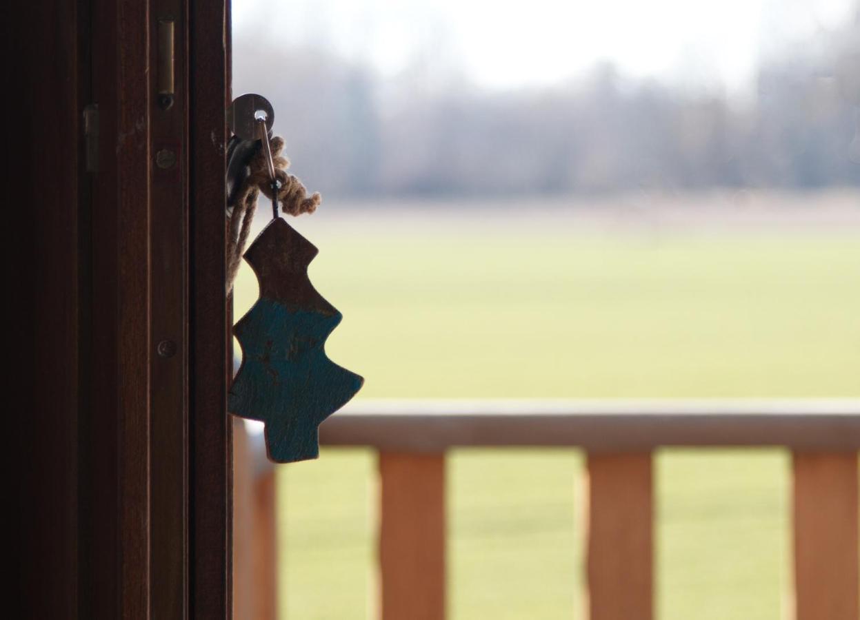 De Heide, Cozy Apartment With Separate Entrance Kampenhout Zewnętrze zdjęcie